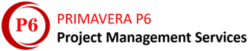 Primavera P6 Services